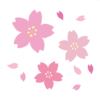 桜2.png