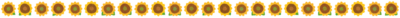 ひまわりライン.png