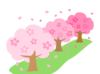 sakura.png