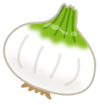 vegetable_shintamanegi.png