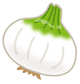 vegetable_shintamanegi.png