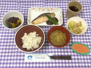IMG_2378.jpg