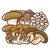 きのこ2.png