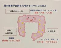 腸内環境.jpg
