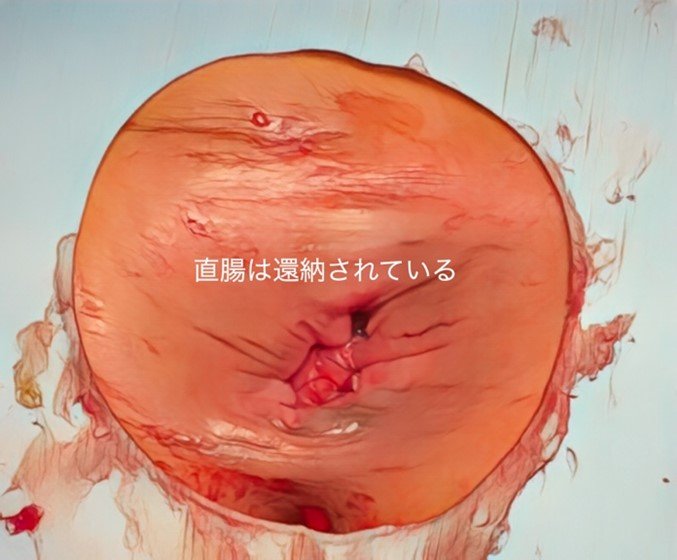 画像6.jpg