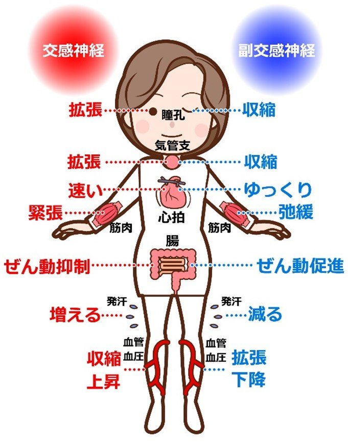 画像1.jpg