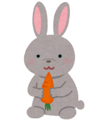 animal_usagi_gray.png